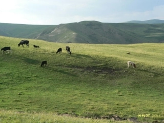 成吉思汗与蒙古帝国[原创精品]asp