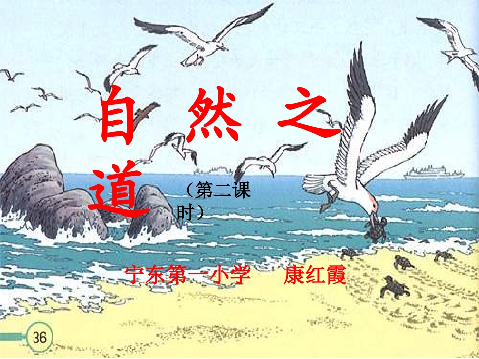 《自然之道》_第1页