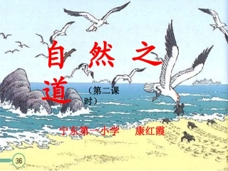 《自然之道》