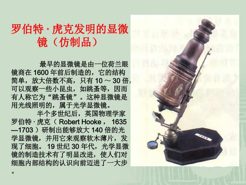 细胞是生命活动的基本单位_第2页