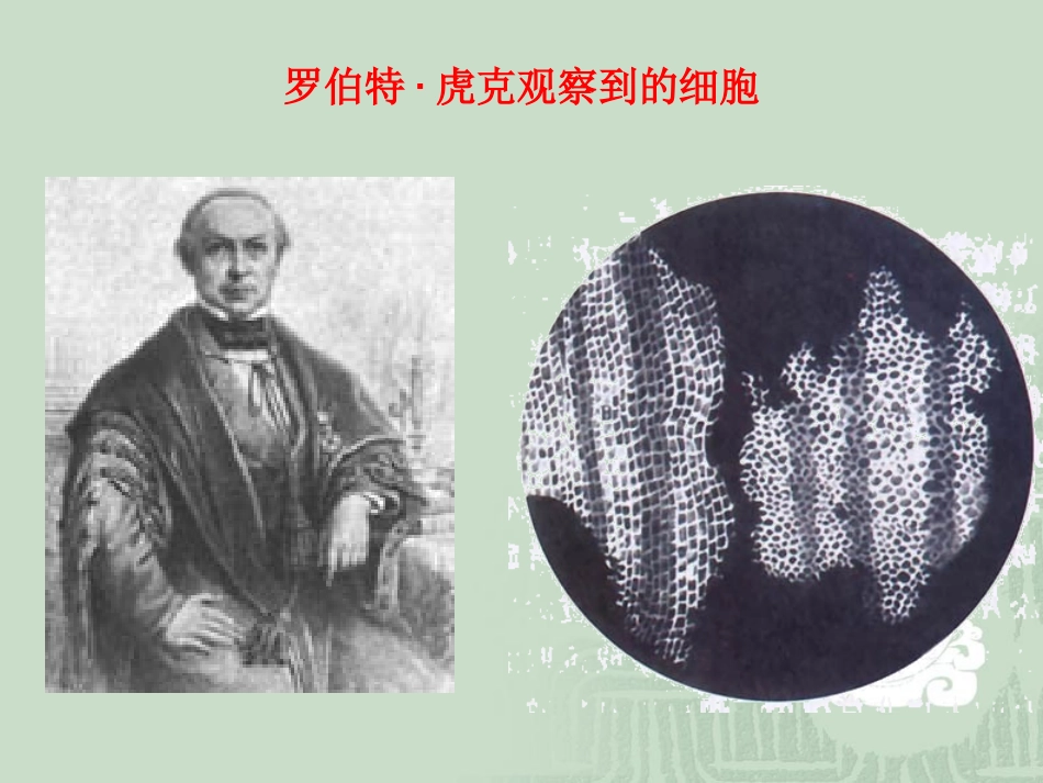 细胞是生命活动的基本单位_第3页