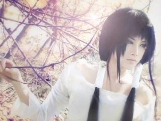 水龙吟·次韵章质夫杨花词
