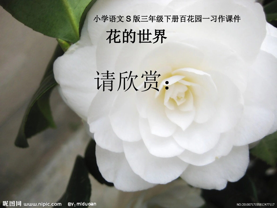 小学语文S版三年级下册百花园一习作课件_花的世界_第1页