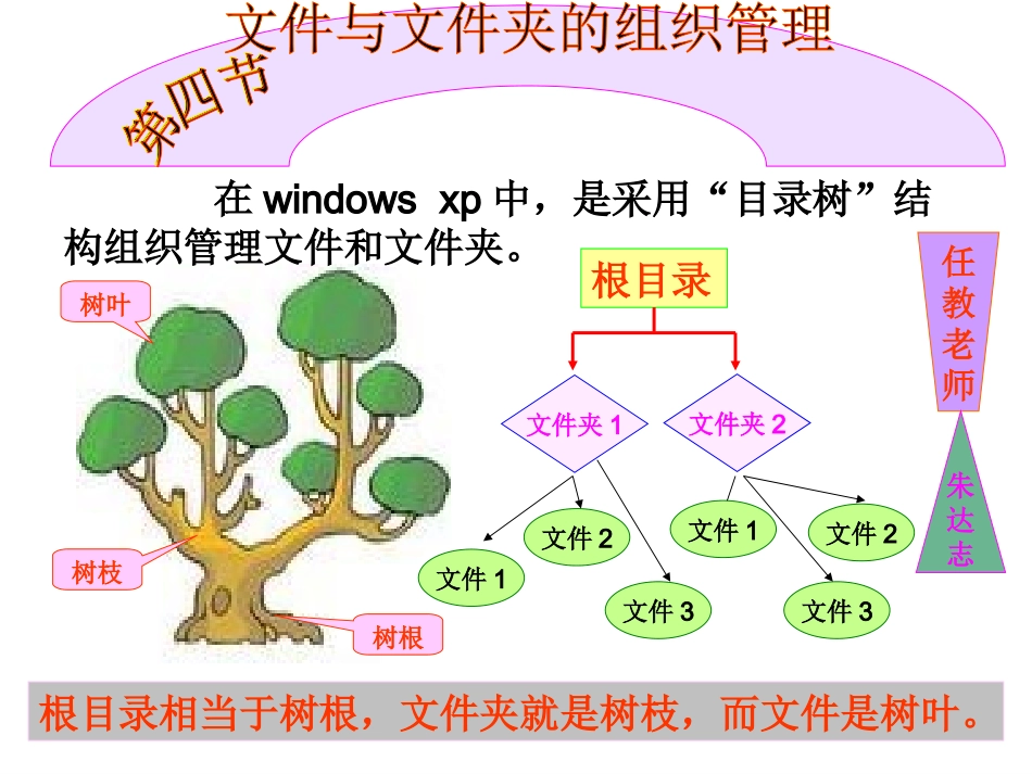 第四节文件和文件夹的组织管理_第1页