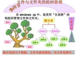 第四节文件和文件夹的组织管理