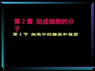 细胞中的糖类和脂质