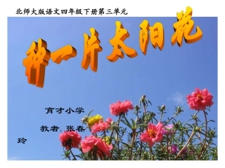《种一片太阳花_》PPT课件