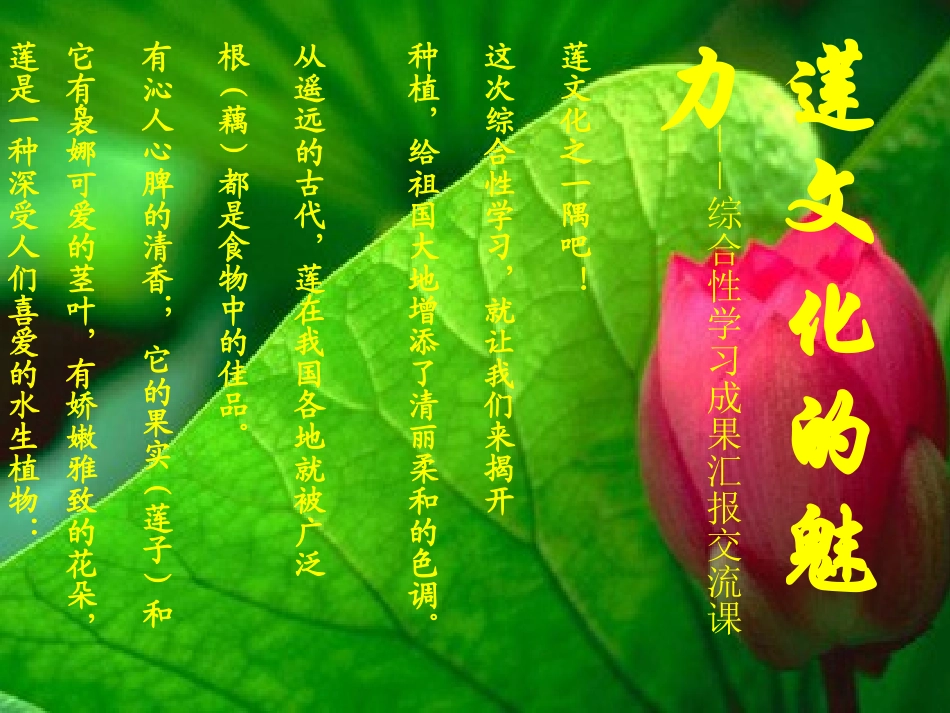 综合性学习《莲文化的魅力》课件_第2页