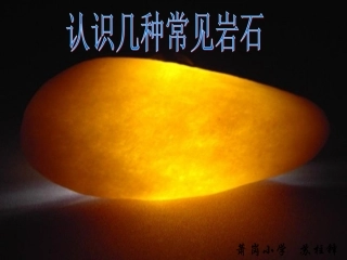 教科版四年级科学下册认识几种常见的岩石