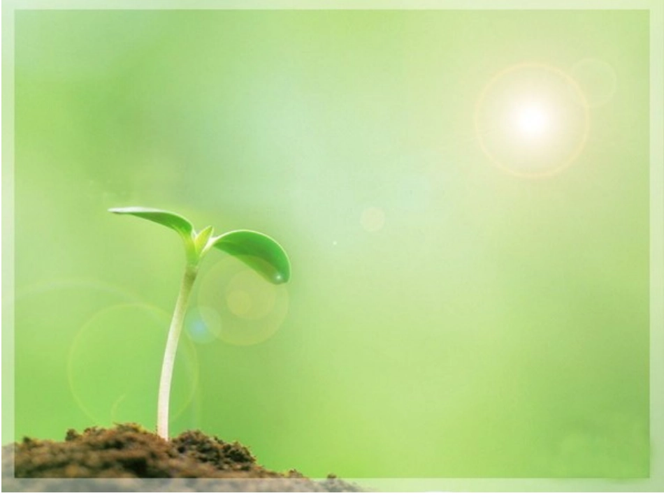 PPT背景图__清新自然_第2页