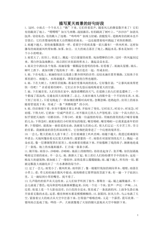 描写夏天雨景的好句好段