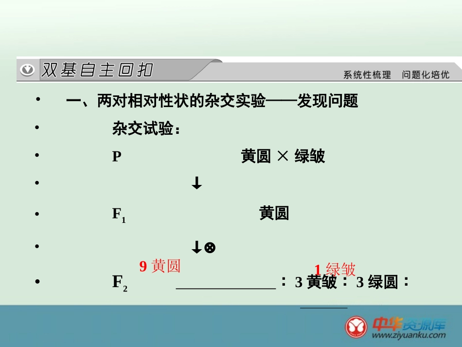 自由组合定律_第2页