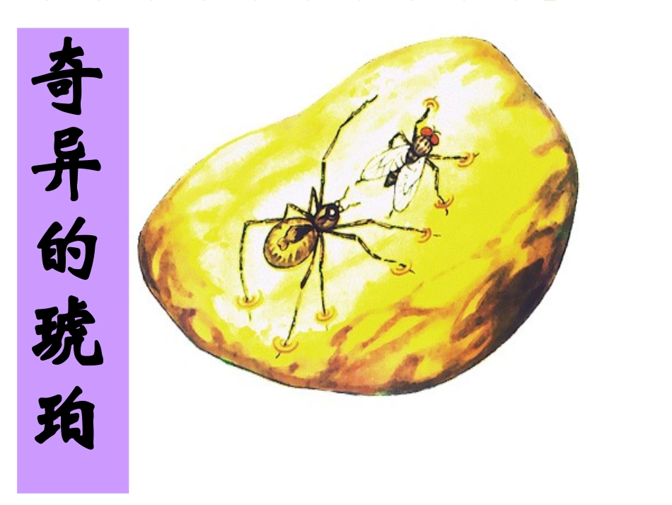 奇异的琥珀(改进前)_第1页