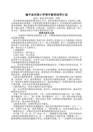 青年教师培养计划