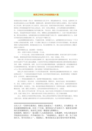 新员工年终工作总结精选6篇