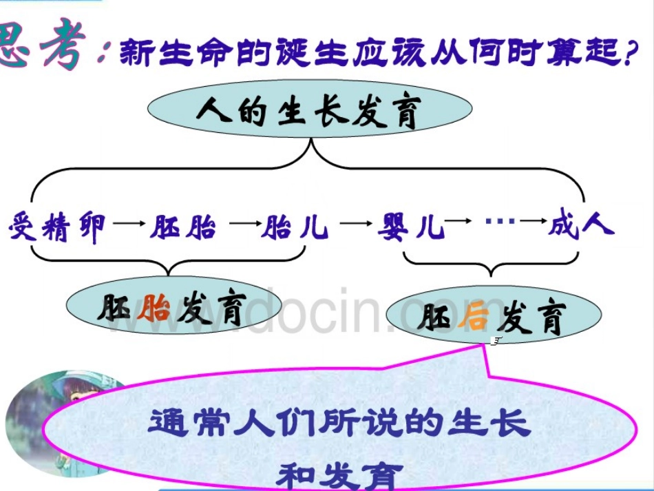 人身长发育的各阶段_第2页