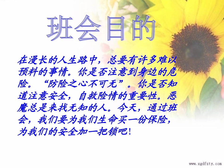 小学《校园安全》班会课件_第2页