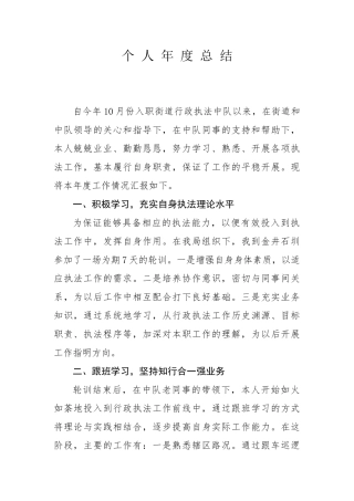 行政执法个人年度总结