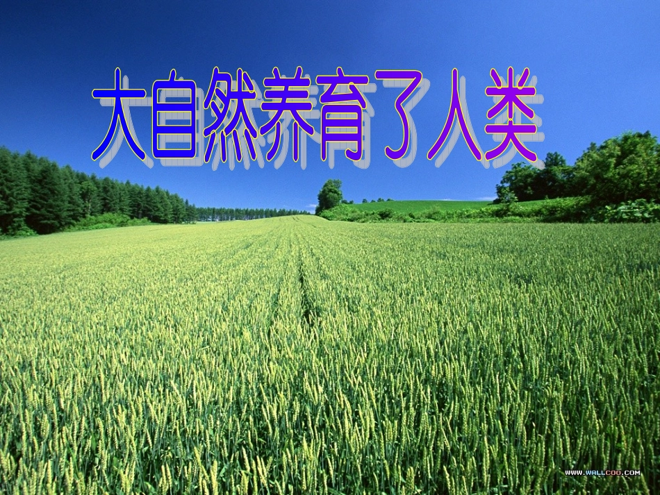 人三年级品德《认识自然》课件_第2页