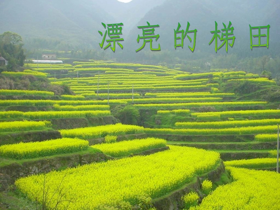 人三年级品德《认识自然》课件_第3页