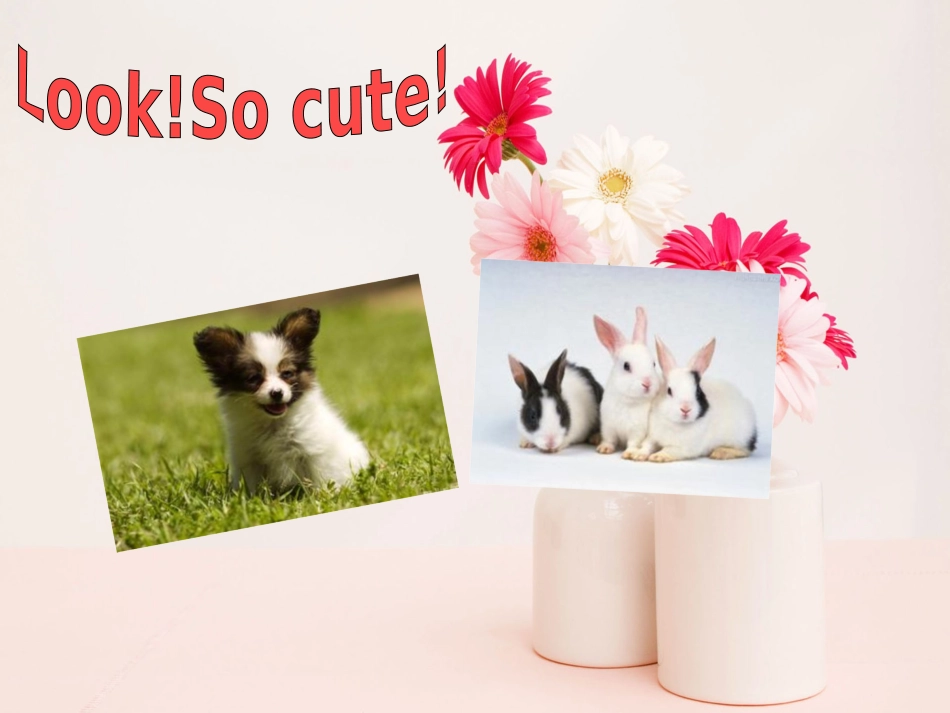 新版五年级下册英语第五单元B_第2页