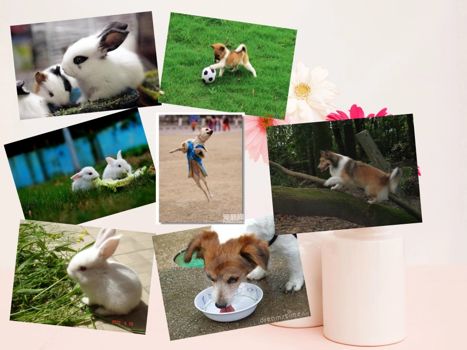 新版五年级下册英语第五单元B_第3页