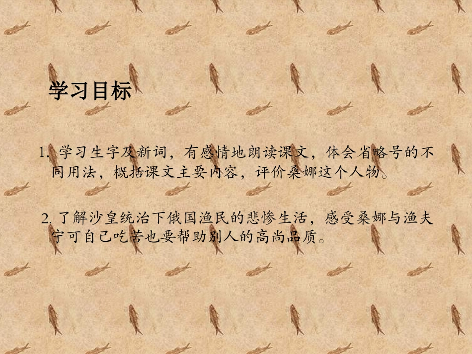 《穷人》PPT课件_第2页