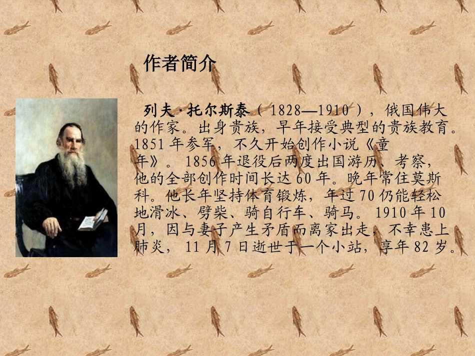 《穷人》PPT课件_第3页