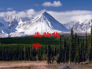 大学生物化学课件_最全的