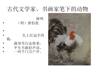 《白鹅》课件