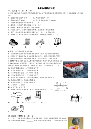 中考物理模拟试题