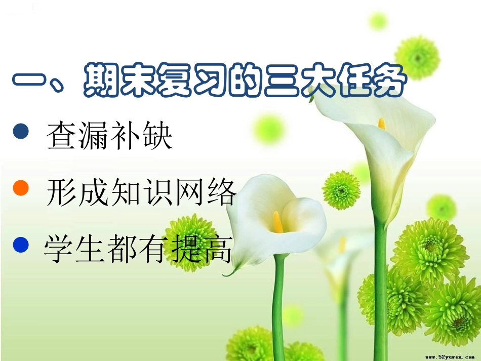 如何进行期末复习PPT_第2页