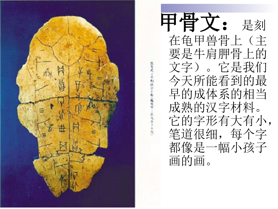 （精品）遨游汉字王国课件_第3页