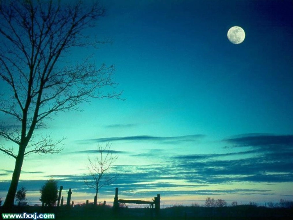 在那银色的月光下_第2页