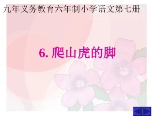 爬山虎的脚PPT课件