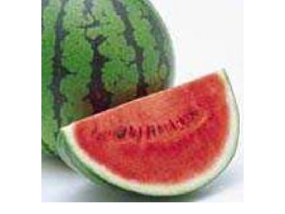 有趣的半圆形_第2页