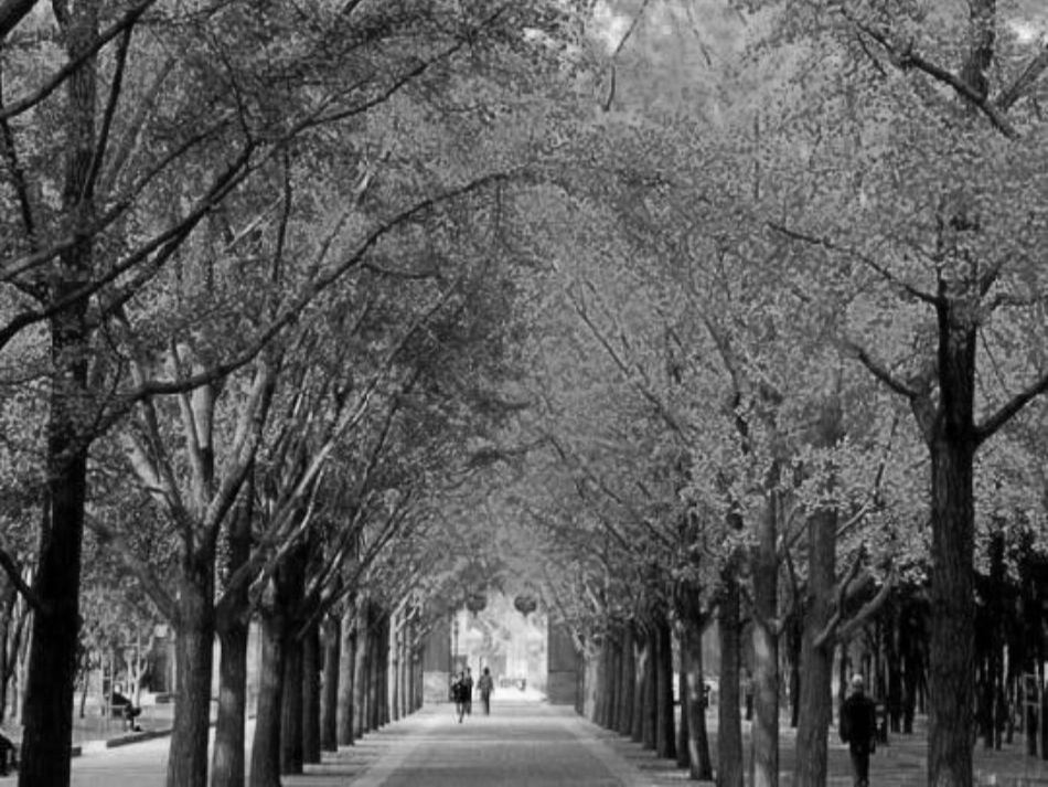 秋天的雨课件_第3页
