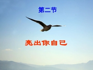 亮出你自己（上课用）