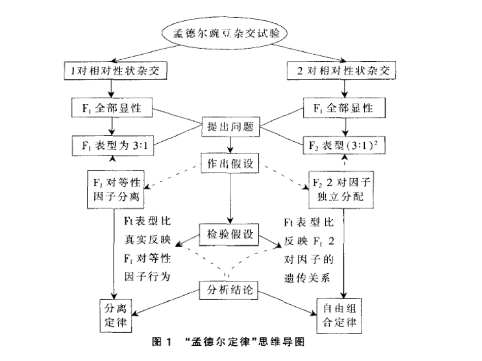好概念图储备_第3页