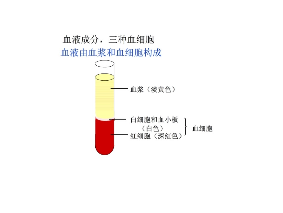 人体内物质的运输复习_第3页