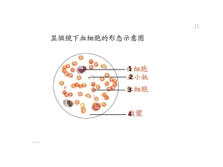 人体内物质的运输复习