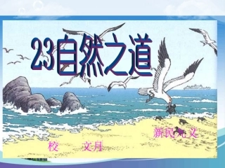 小学语文S版六年级上册《自然之道》PPT