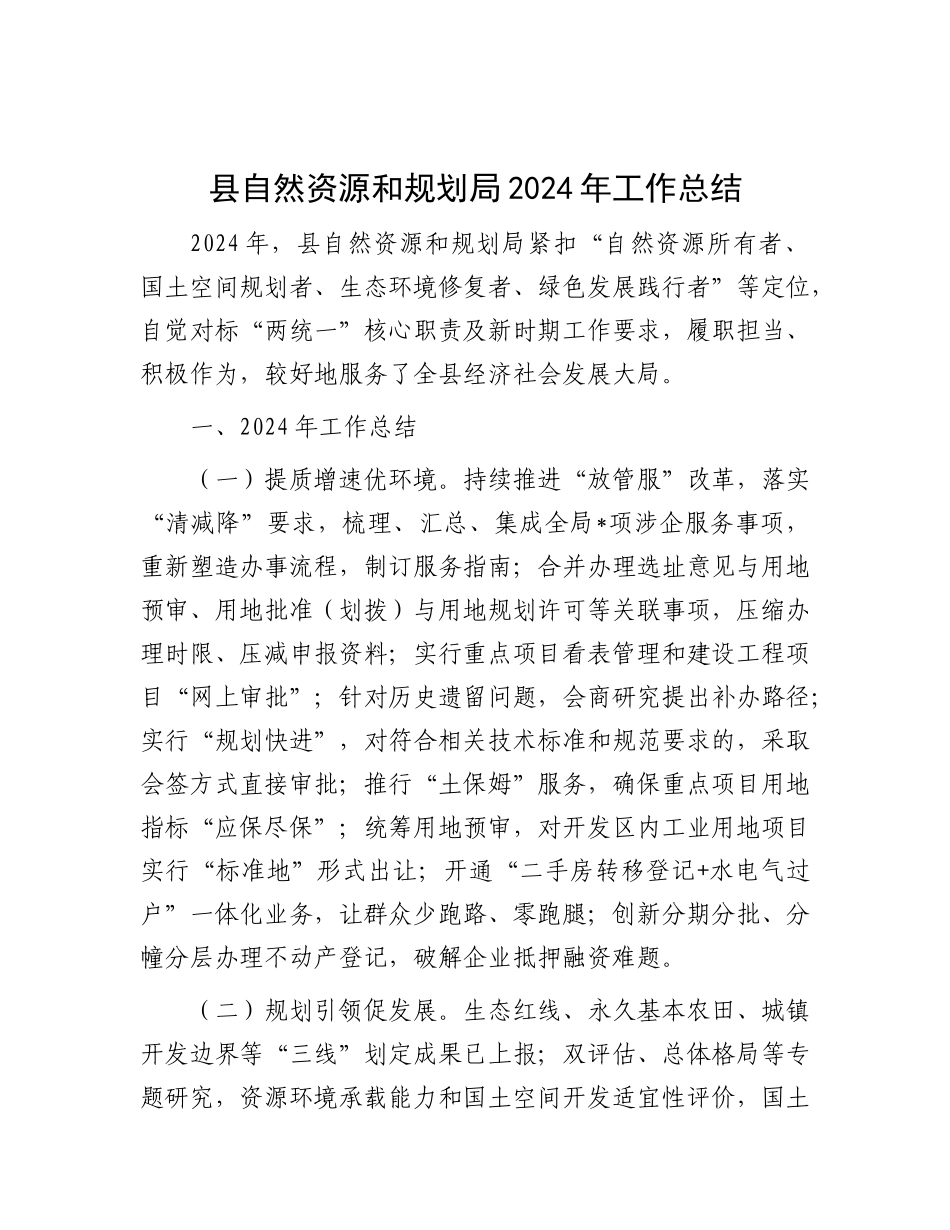 2024年工作总结（自然资源和规划局）_第1页