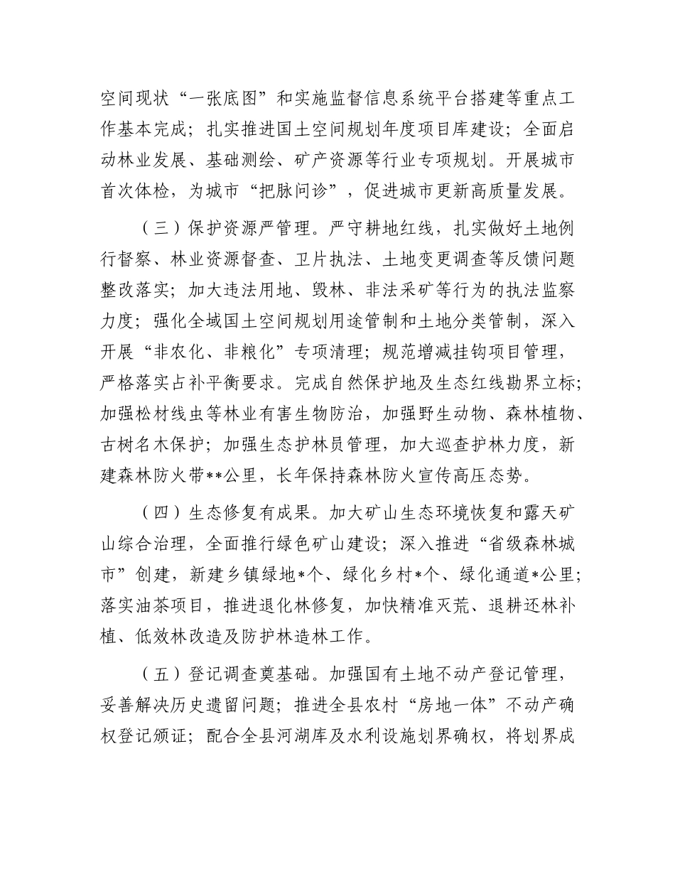 2024年工作总结（自然资源和规划局）_第2页