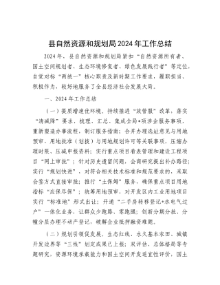 2024年工作总结（自然资源和规划局）