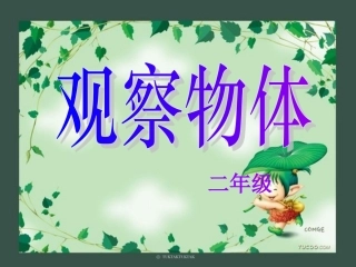二年级观察物体PPT