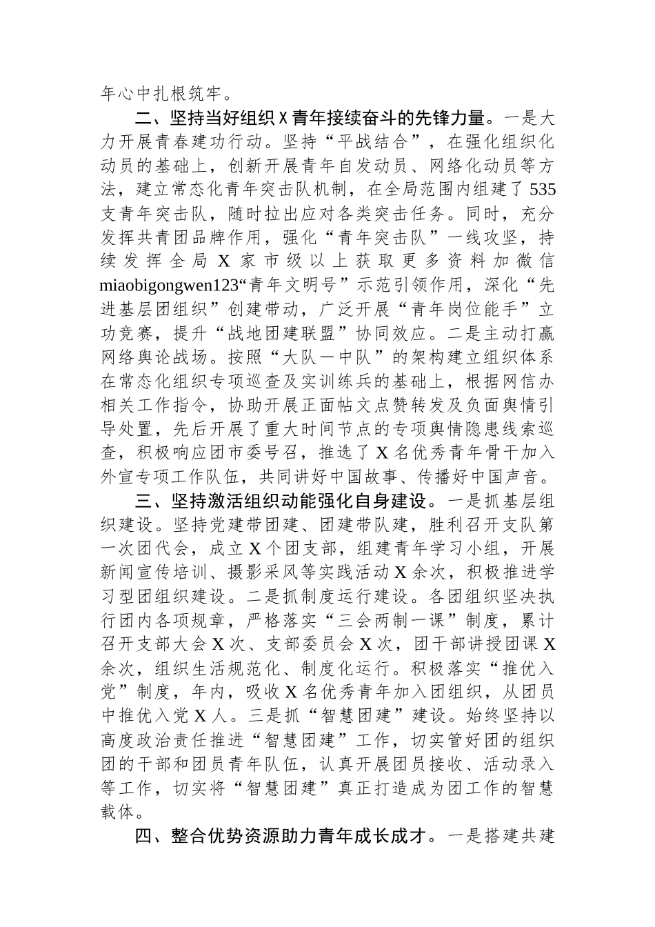 2024年工作总结报告（市局共青团）_第2页