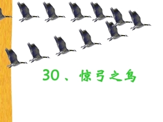 惊弓之鸟演示文稿