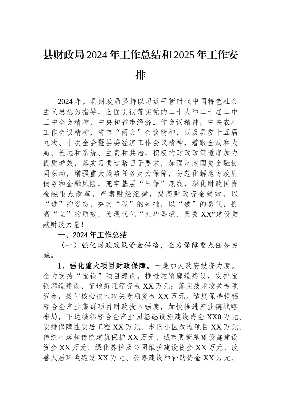 2024年工作总结和2025年工作安排（财政局）_第1页
