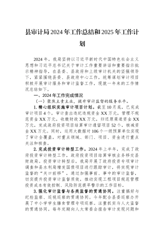2024年工作总结和2025年工作计划（审计局）